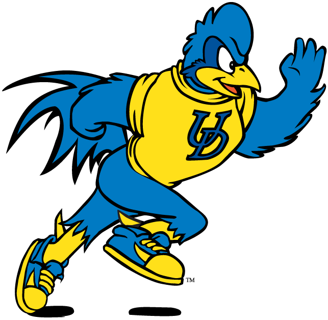 delaware blue hens 1993-pres mascot Logo v10 iron on transfers for fabric